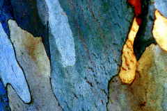 bibi-lespagnol