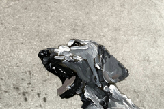 monster-for-animals-2020
