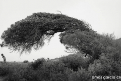 amos-g-cruz